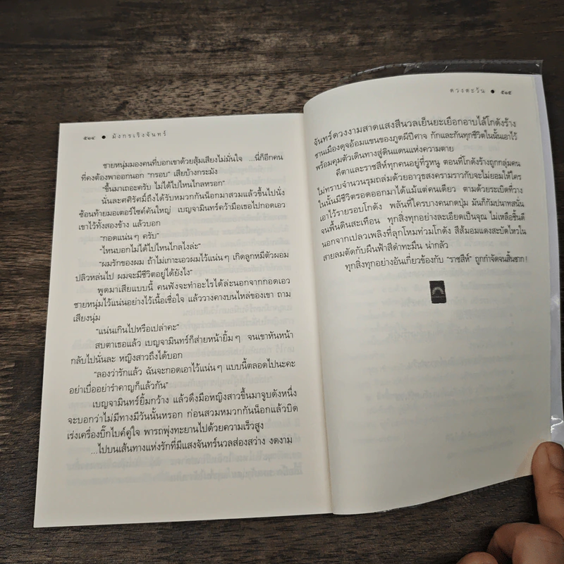 มังกรเริงจันทร์ - ดวงตะวัน รูปที่ 9