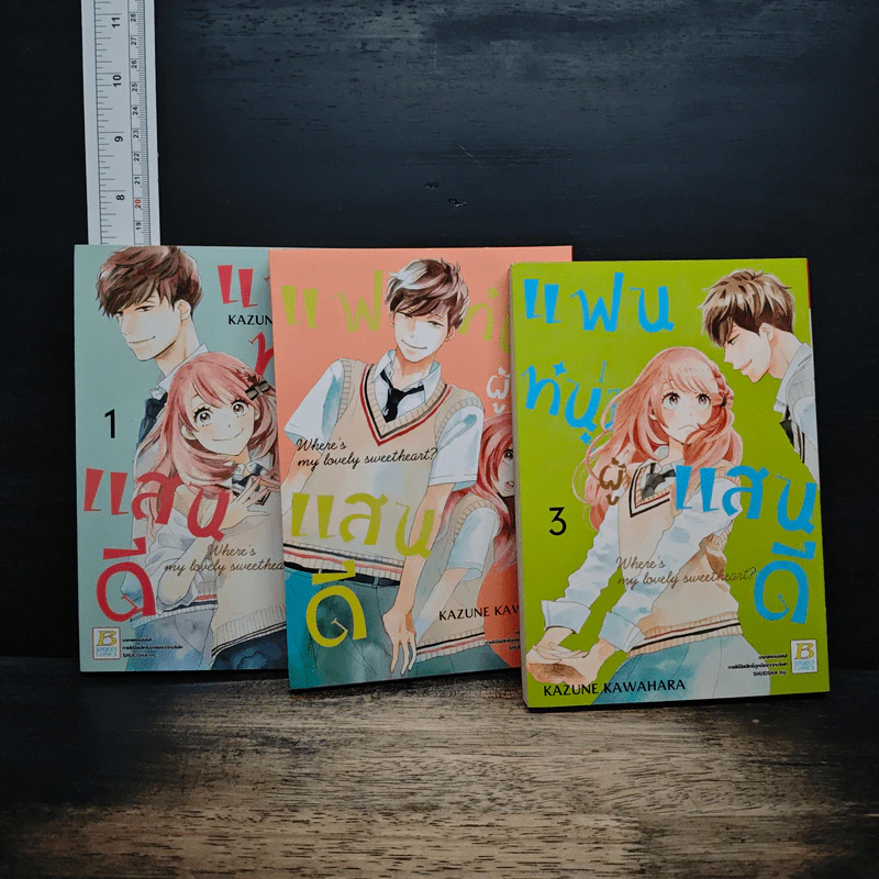 แฟนหนุ่มแสนดี เล่ม 1-3 รูปที่ 1