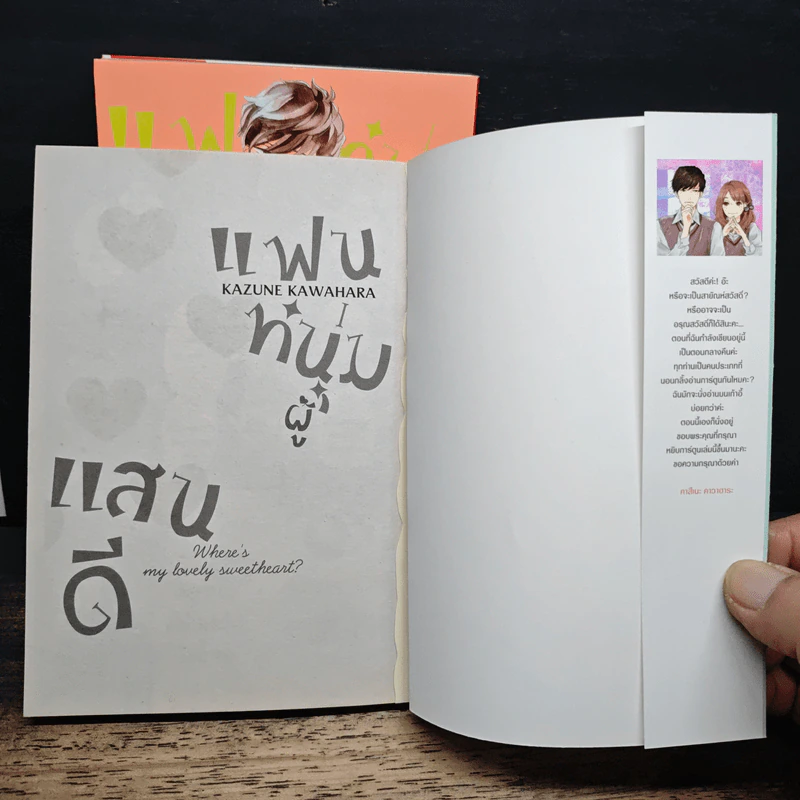 แฟนหนุ่มแสนดี เล่ม 1-3 รูปที่ 6