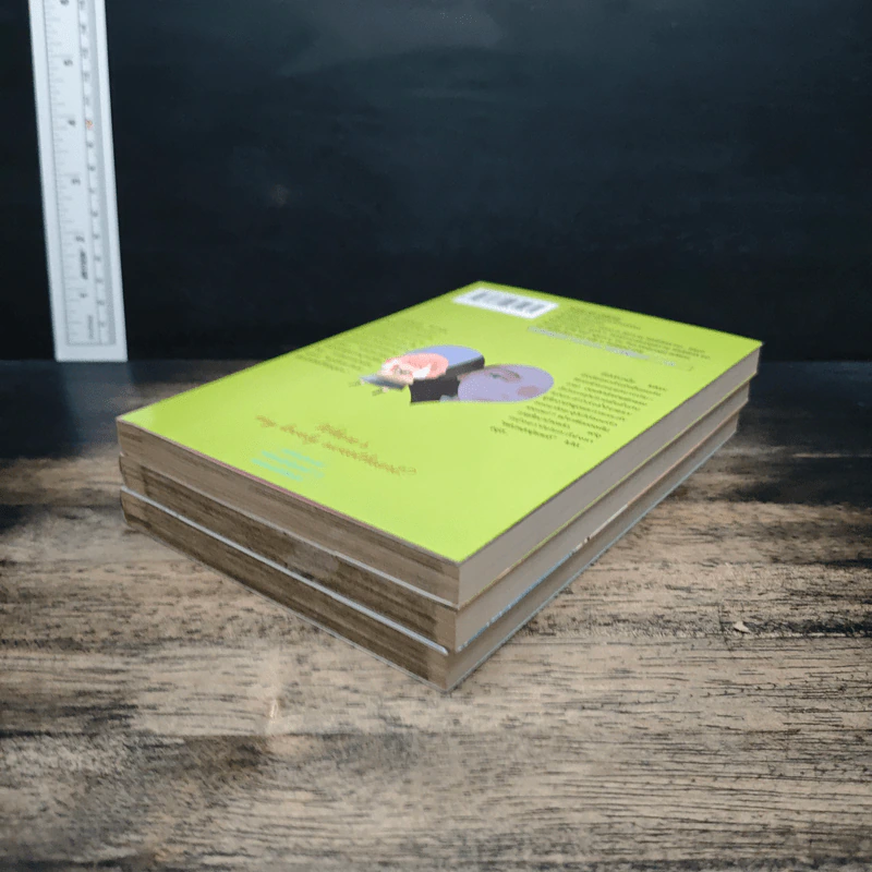 แฟนหนุ่มแสนดี เล่ม 1-3 รูปที่ 4