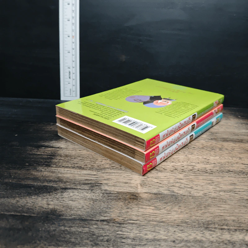 แฟนหนุ่มแสนดี เล่ม 1-3 รูปที่ 5