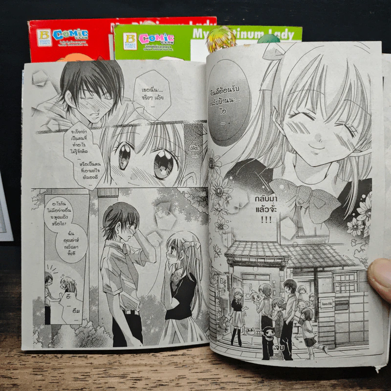 My Platinum Lady เรื่องวุ่นๆของคุณหนูจำเป็น 3 เล่มจบ - Yagami Chitose รูปที่ 9