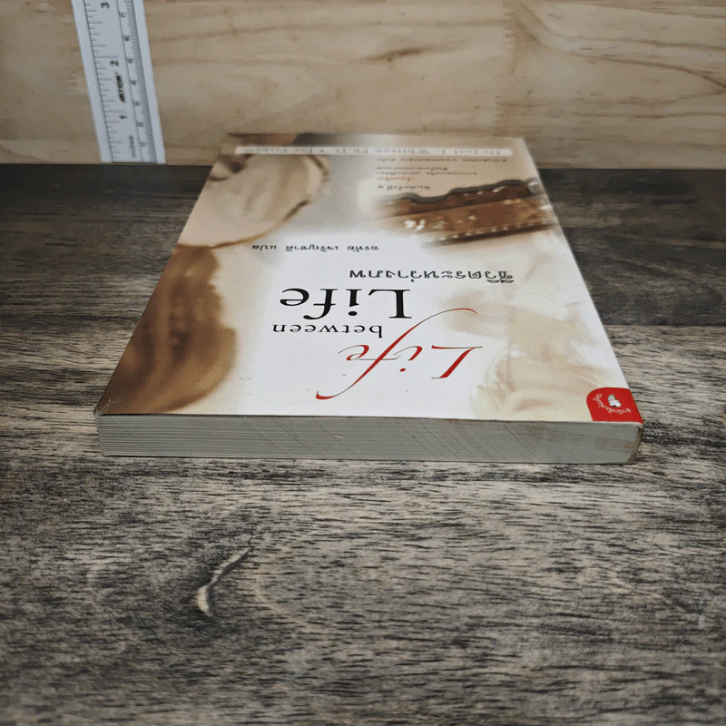 ชีวิตระหว่างภพ Life between Life - Joe L. Whitton  Ph.D., อรทัย เจริญชาติ รูปที่ 4