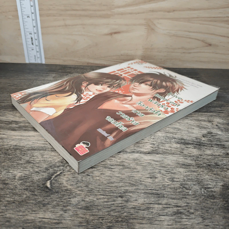 Love Innocent พลิกรักล็อคหัวใจนายวายร้ายจอมโหด - แสตมป์เบอรี่ รูปที่ 3