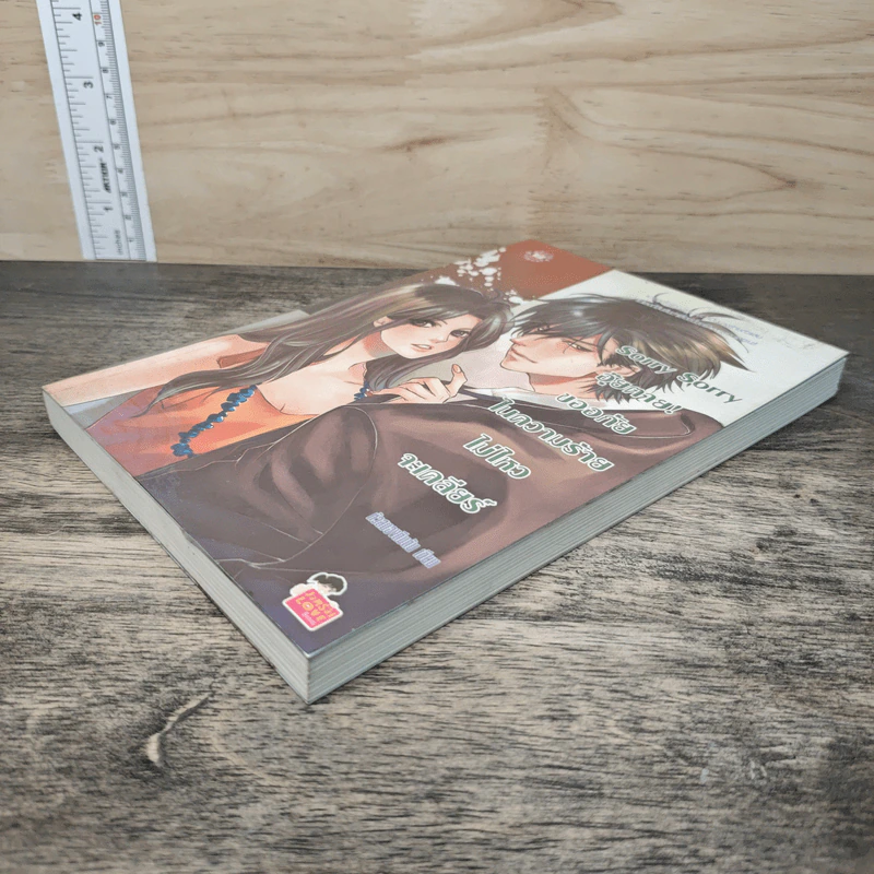 Sorry Sorry อุ๊ยตาย! ขออภัยในความร้ายไม่ไหวจะเคลียร์ - หัวสมองตีบตัน รูปที่ 3