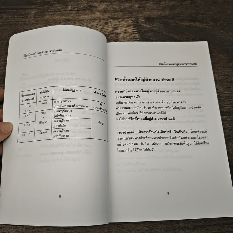 อานาปานสติ : วิถีแห่งความสุข 1 ชีวิตทั้งหมดให้อยู่ด้วยอานาปานสติ - พระอาจารย์มิตซูโอะ คเวสโก รูปที่ 7