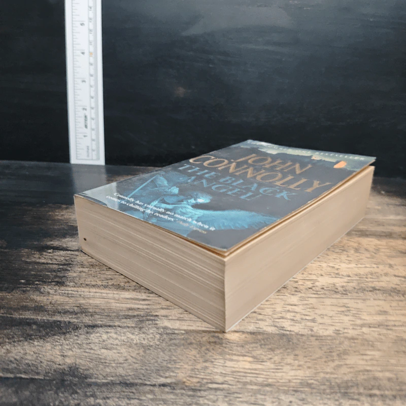 The Black Angel - John Connolly รูปที่ 4