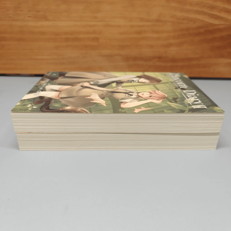 Boxset Lincorn Diary 2 เล่มจบ - กัลฐิดา รูปที่ 8
