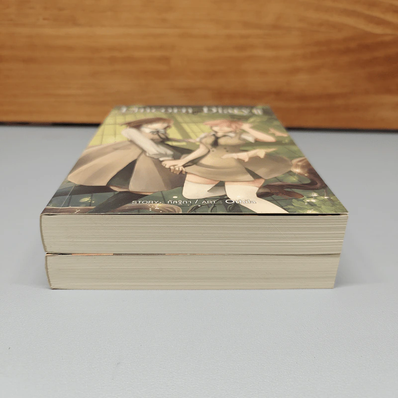 Boxset Lincorn Diary 2 เล่มจบ - กัลฐิดา รูปที่ 9