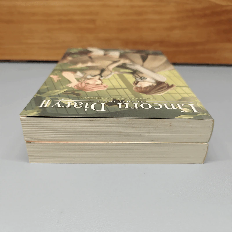 Boxset Lincorn Diary 2 เล่มจบ - กัลฐิดา รูปที่ 7