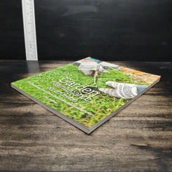 Garden Maintenance ซ่อมสวนให้สวย - วรวิทย์ อิงสุหัสต์ รูปที่ 4