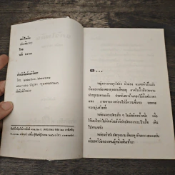 แก้วไพลิน - วลัย นวาระ รูปที่ 6