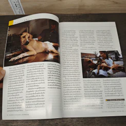 National Geographic ม.ค.2545 หมาป่าสู่หมาบ้าน รูปที่ 7