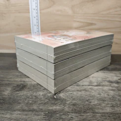 ฉู่หวังเฟย ชายาสองวิญญาณ เล่ม 1-3 - หนิงเอ๋อร์ รูปที่ 4