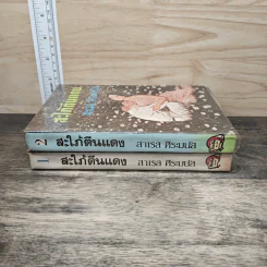 สะใภ้ตีนแดง 2 เล่มจบ - สาเรส ศิระมนัส รูปที่ 3