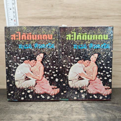 สะใภ้ตีนแดง 2 เล่มจบ - สาเรส ศิระมนัส รูปที่ 1