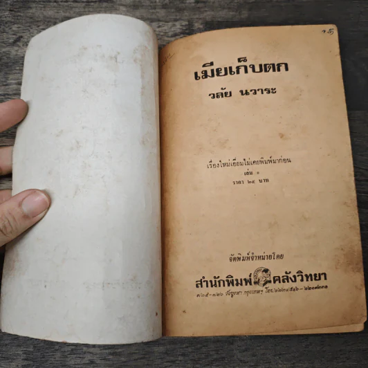 เมียเก็บตก - วลัย นวาระ รูปที่ 6
