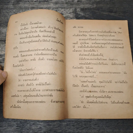 เมียเก็บตก - วลัย นวาระ รูปที่ 7