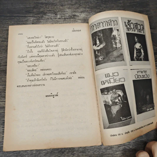 เมียพยศ - จามรี พรรณชมพู รูปที่ 8