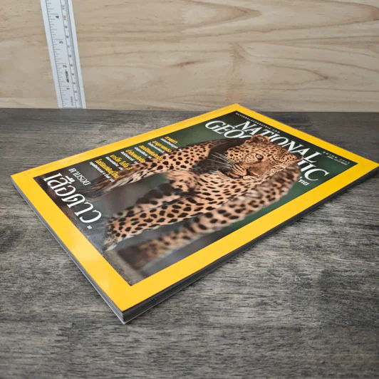 National Geographic ต.ค.2544 เสือดาว รูปที่ 3