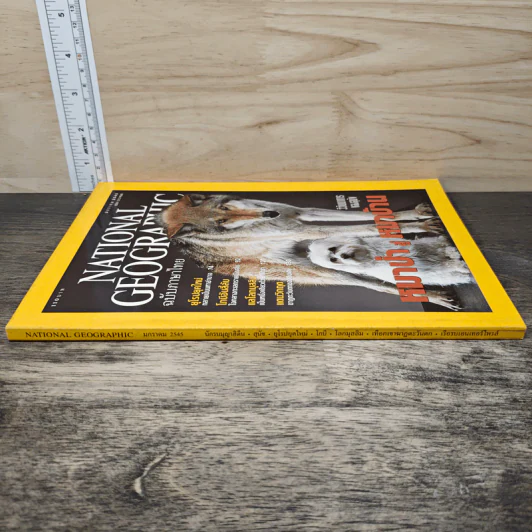 National Geographic ม.ค.2545 หมาป่าสู่หมาบ้าน รูปที่ 2