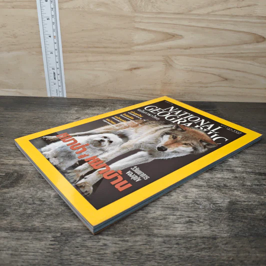 National Geographic ม.ค.2545 หมาป่าสู่หมาบ้าน รูปที่ 3