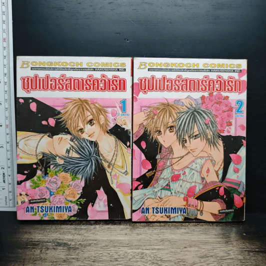 ซุปเปอร์สตาร์คว้ารัก 2 เล่มจบ รูปที่ 1