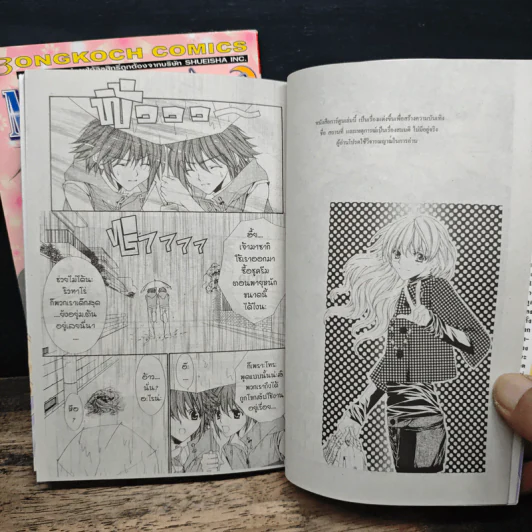 Midnight Children 2 เล่มจบ - Mayu Shinjo รูปที่ 7
