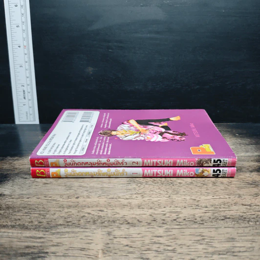 วุ่นนัก ตกหลุมรักหนุ่มนักรำ เล่ม 1-2 รูปที่ 3