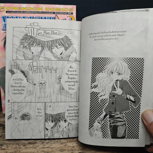 Midnight Children 2 เล่มจบ - Mayu Shinjo รูปที่ 7