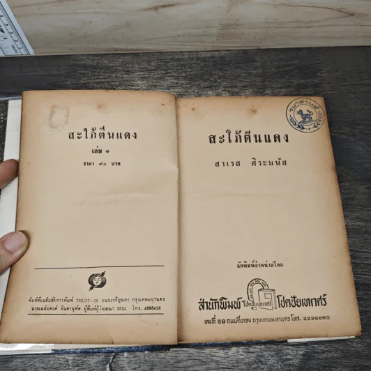 สะใภ้ตีนแดง 2 เล่มจบ - สาเรส ศิระมนัส รูปที่ 6