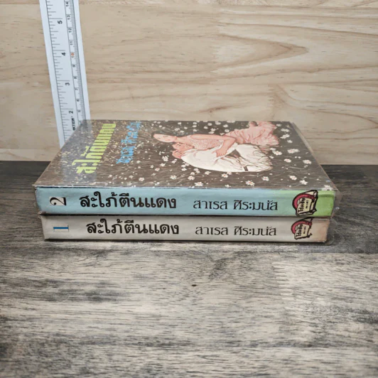 สะใภ้ตีนแดง 2 เล่มจบ - สาเรส ศิระมนัส รูปที่ 3
