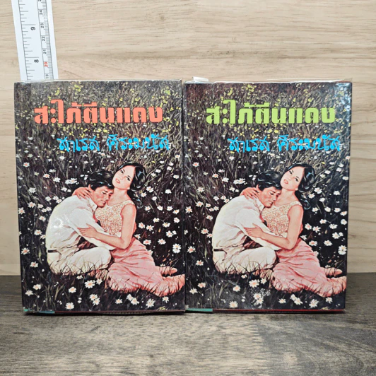 สะใภ้ตีนแดง 2 เล่มจบ - สาเรส ศิระมนัส รูปที่ 1