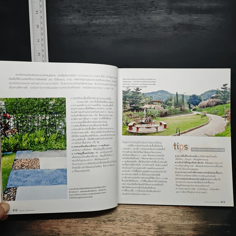 Garden Maintenance ซ่อมสวนให้สวย - วรวิทย์ อิงสุหัสต์ รูปที่ 9