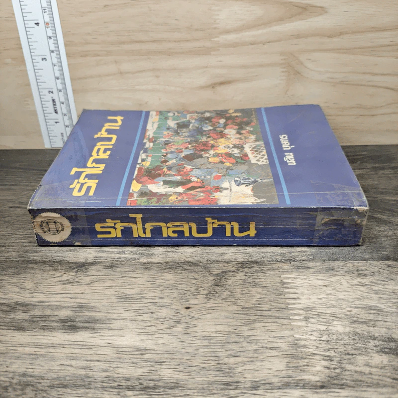รักไกลบ้าน - นลิน บุษกร รูปที่ 2
