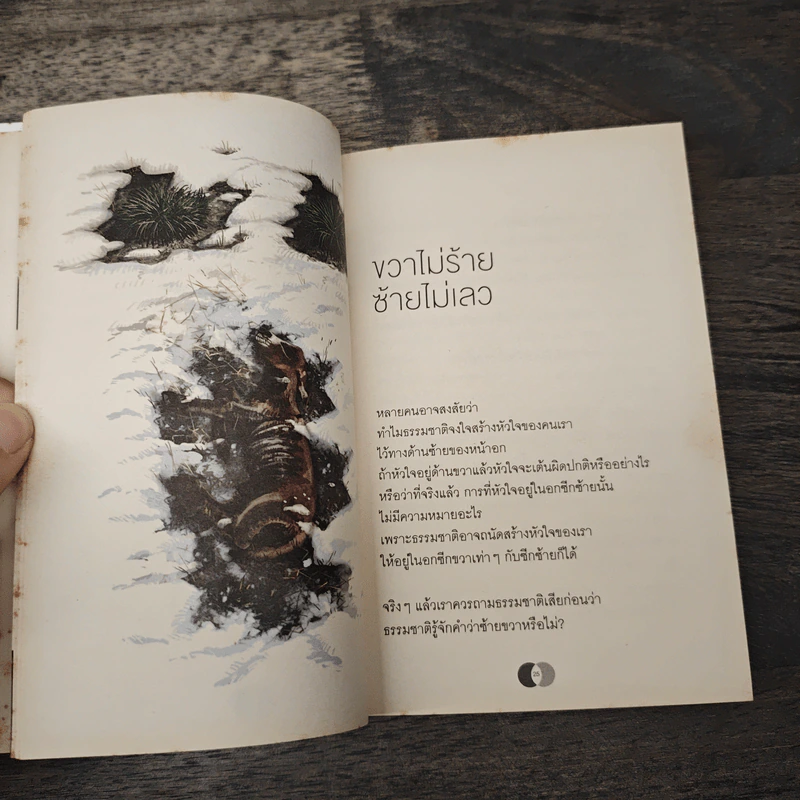 จริงตนาการ รวมเรื่องกระตุกความคิด จากทฤษฎีวิทยาศาสตร์อ่านสนุก - Mister Tompkin รูปที่ 8