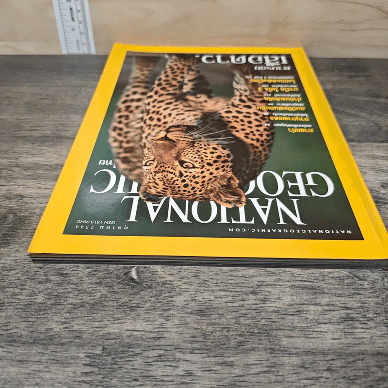 National Geographic ต.ค.2544 เสือดาว รูปที่ 4