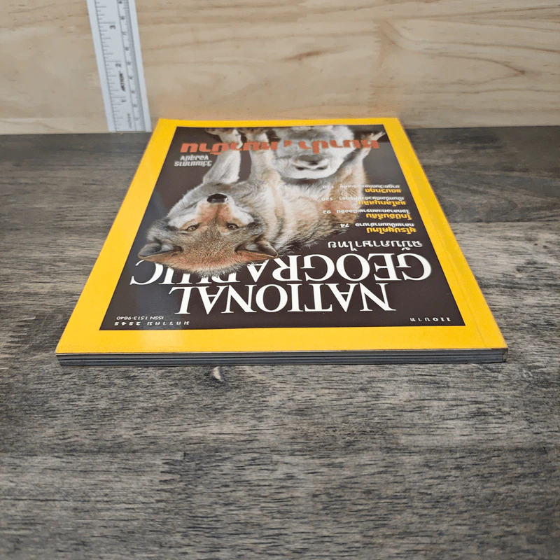National Geographic ม.ค.2545 หมาป่าสู่หมาบ้าน รูปที่ 4