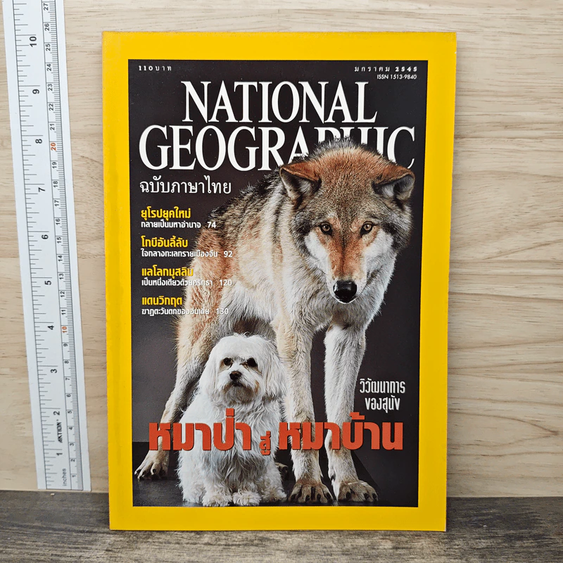 National Geographic ม.ค.2545 หมาป่าสู่หมาบ้าน รูปที่ 1