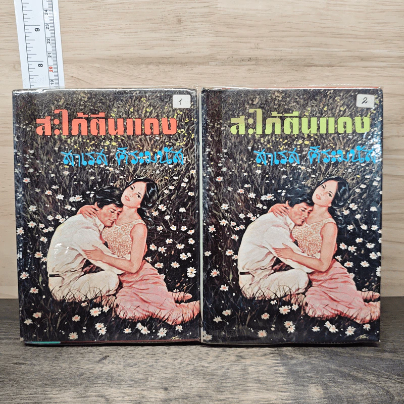 สะใภ้ตีนแดง 2 เล่มจบ - สาเรส ศิระมนัส รูปที่ 1