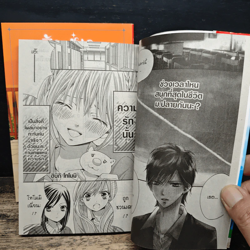 วัยฝันวันหวาน 2 เล่มจบ รูปที่ 7