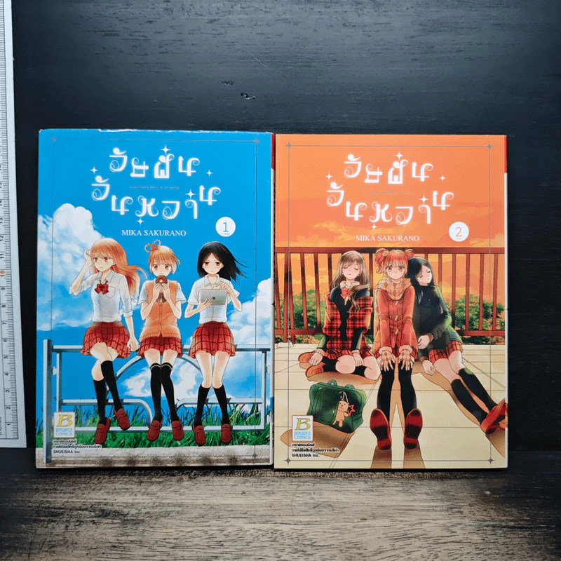วัยฝันวันหวาน 2 เล่มจบ รูปที่ 1