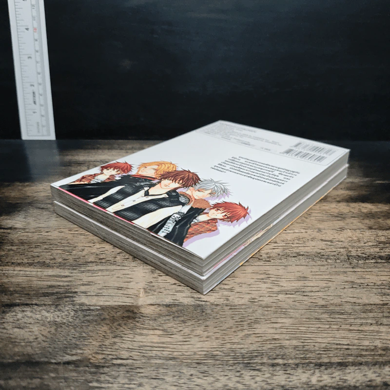 Midnight Children 2 เล่มจบ - Mayu Shinjo รูปที่ 4