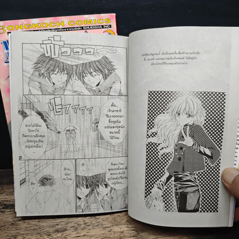 Midnight Children 2 เล่มจบ - Mayu Shinjo รูปที่ 7