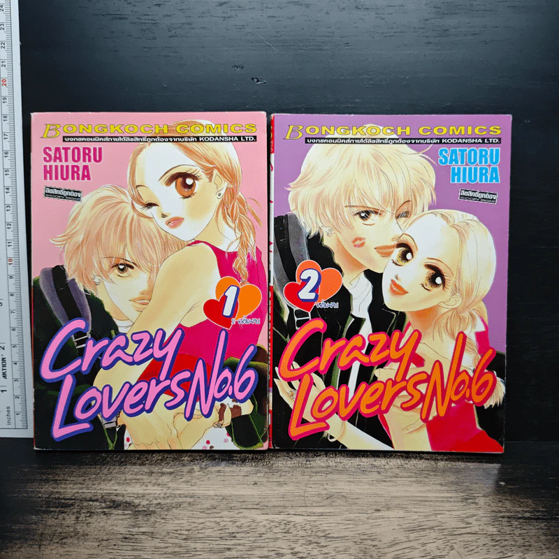 Crazy Lovers No.6 2 เล่มจบ - SATORU HIURA รูปที่ 1