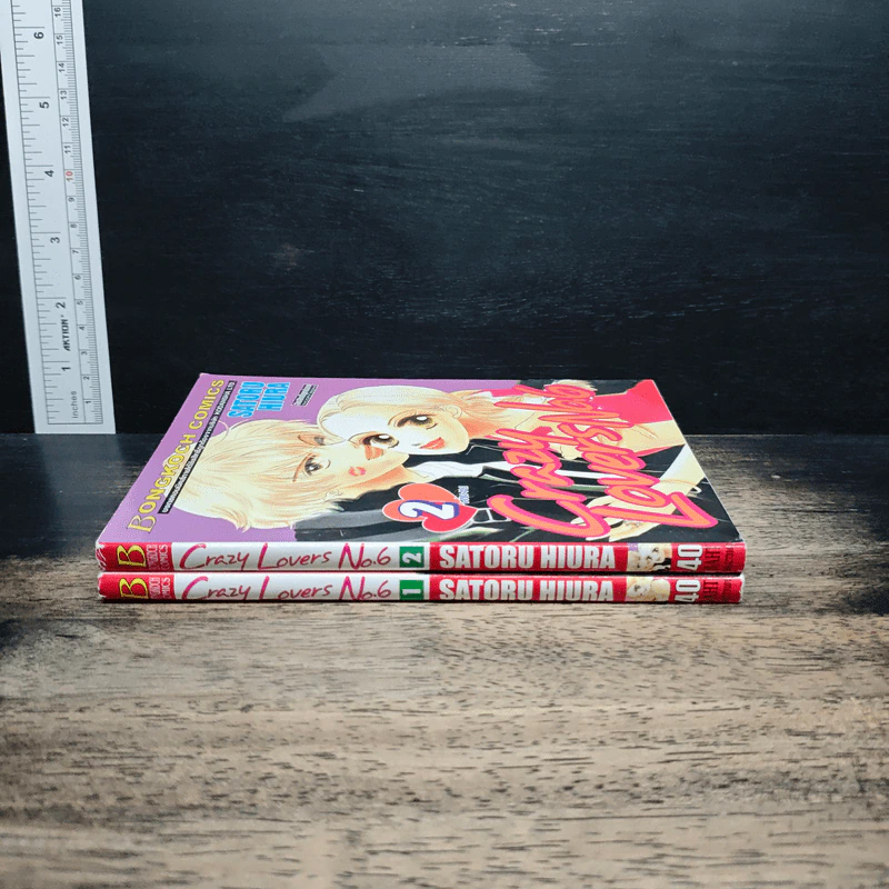 Crazy Lovers No.6 2 เล่มจบ - SATORU HIURA รูปที่ 3