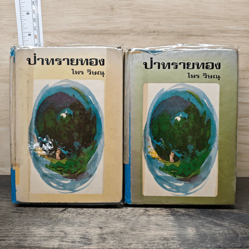 ป่าทรายทอง - ไพร วิษณุ รูปที่ 1