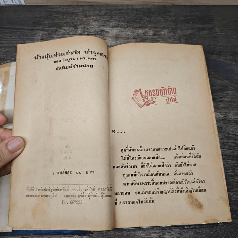 ป่าทรายทอง - ไพร วิษณุ รูปที่ 7