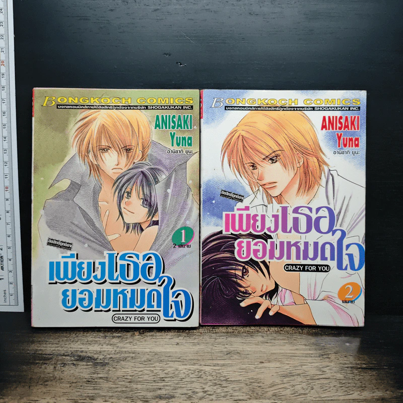 เพียงเธอยอมหมดใจ 2 เล่มจบ - Anisaki Yuna รูปที่ 1