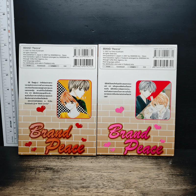 Brand Peacel แบรนด์พีช 2 เล่มจบ - Erika Kurahashi รูปที่ 2